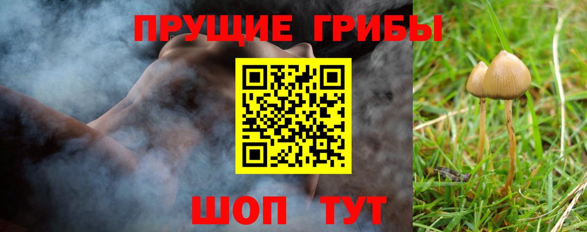 Брянск  Галлюциногенные грибы MAGIC MUSHROOMS  Вход с VPN  Псилоцибиновые грибы мицелий 